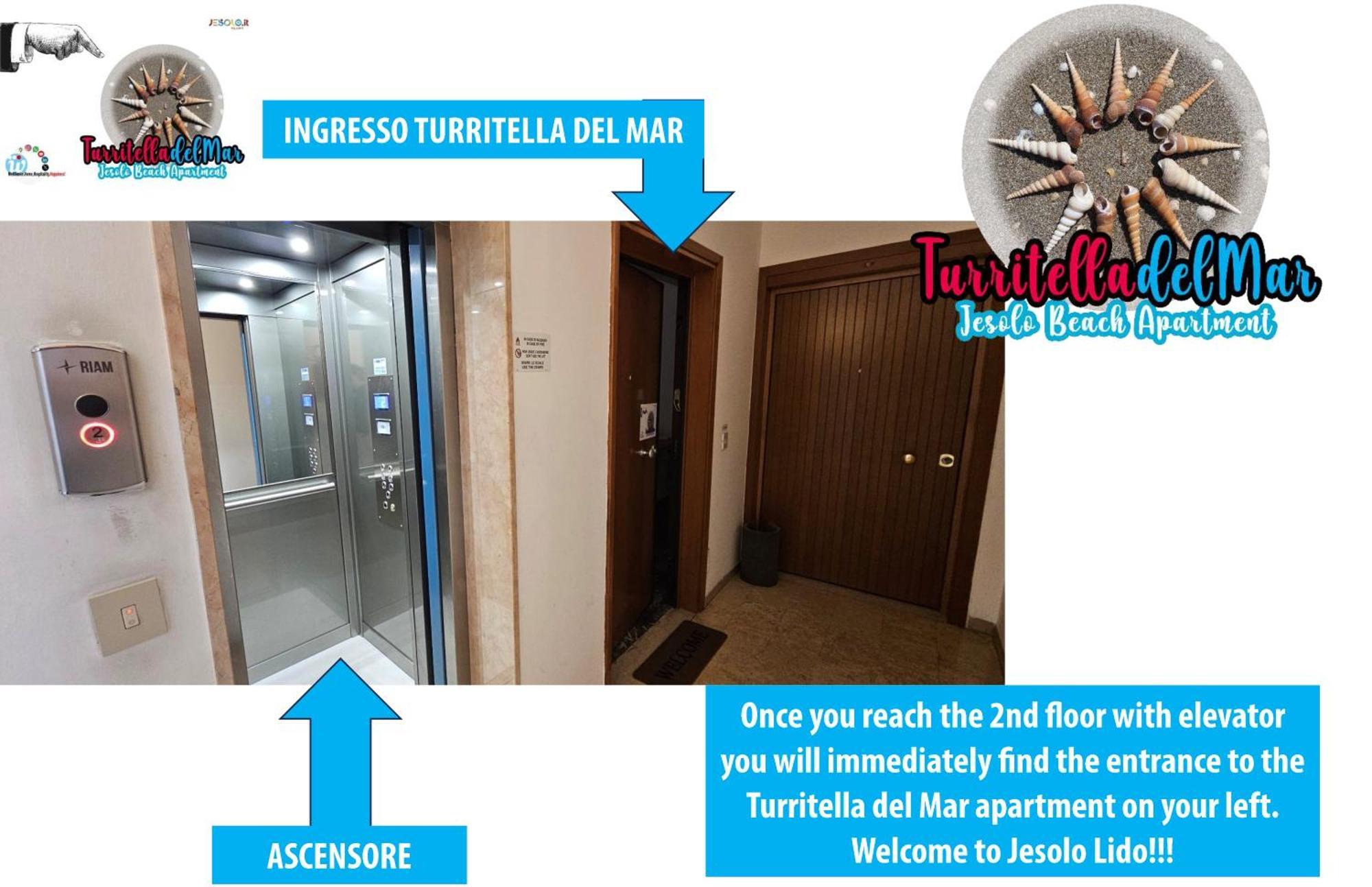 Turritella Del Mar Lido di Jesolo