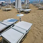 Turritella Del Mar