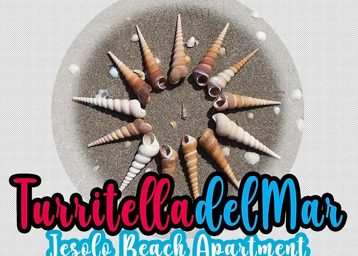 Turritella Del Mar